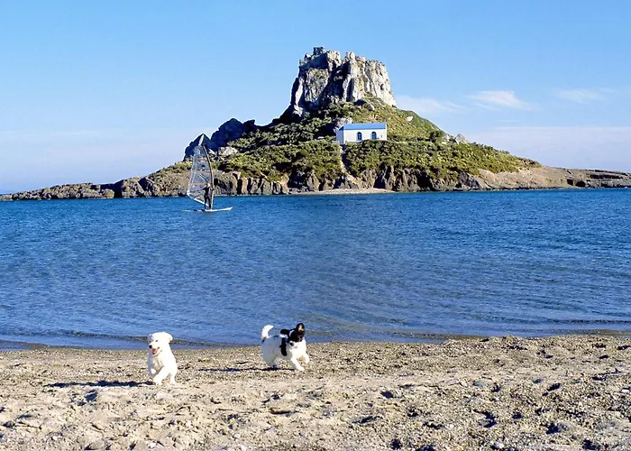 Отель Cosmopolitan